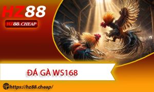 Đá Gà WS168